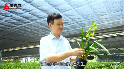 一場蘭花的奇妙之旅，帶您領(lǐng)略國蘭風(fēng)采！
