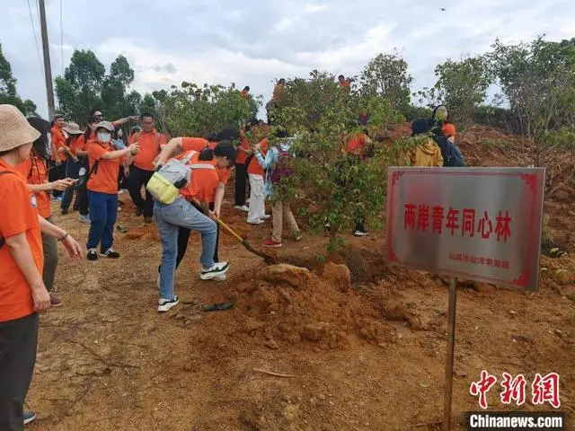 第十一屆臺(tái)灣青年嶺南行潮汕文化尋根營(yíng)在汕尾開營(yíng)