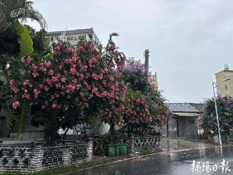 揭陽(yáng)各鎮(zhèn)街多舉措齊發(fā)力，擦亮城市文明底色